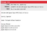 Apache Tomcat HTTP/2 DoS 漏洞 影响多个版本
