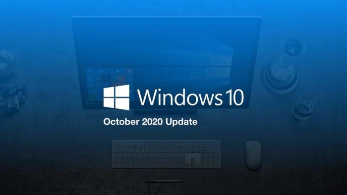 Windows 10 October 2020 版本号锁定1
