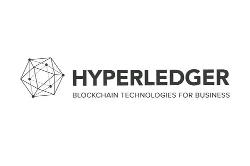 Hyperledger Fabric 安全漏洞