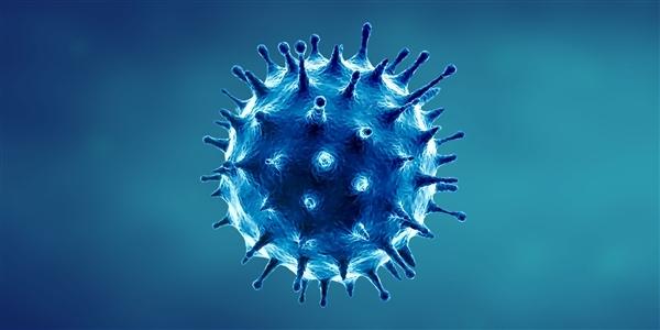 研究发现新冠病毒会影响精子质量：三个月后恢复正常