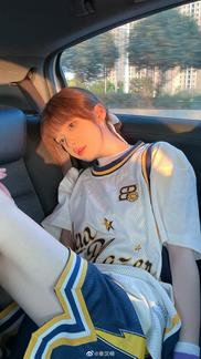 章汉楠欲买桂花同载酒，终不似，少年游。