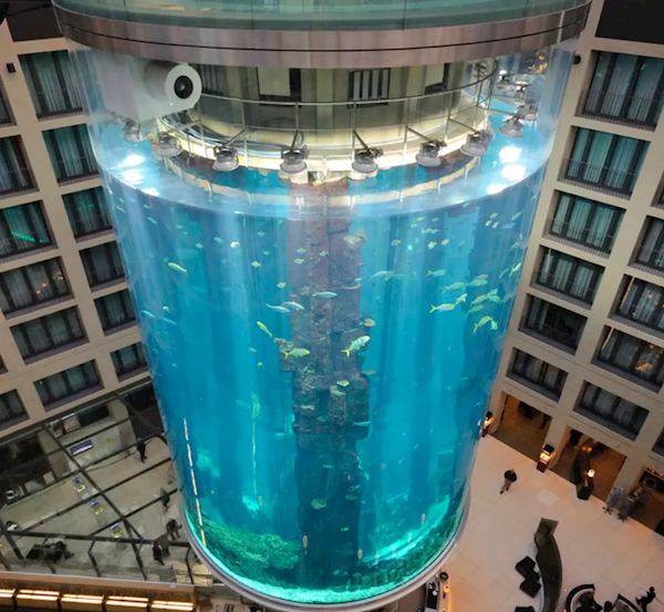 世界上最大的鱼缸破裂：100万升水泄露 1500条鱼死亡