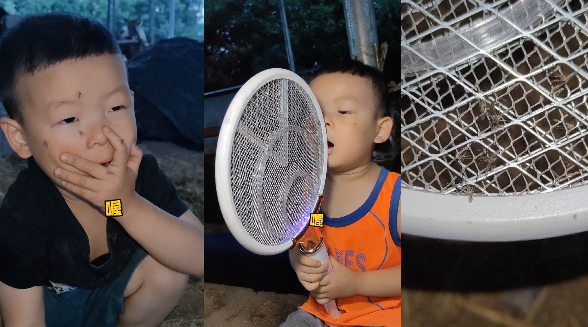 3岁男童发O音就能召唤蚊子引围观 网友直呼神奇：专家揭秘真正原因