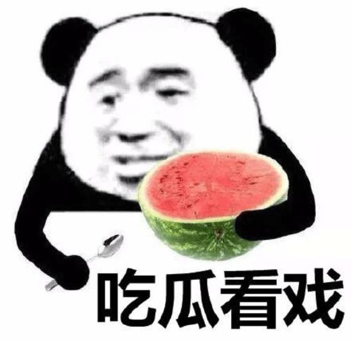 陇南康县网红二饼的瓜是什么？
