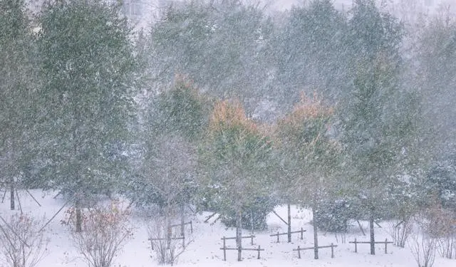 哈尔滨11月6日降雪量突破历史极值