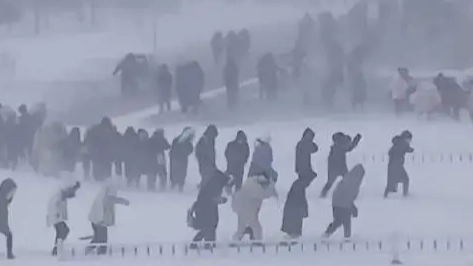 哈尔滨学生在暴风雪中艰难行走
