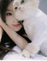 只阿裴HELLO KITTY和维尼熊 ​​​