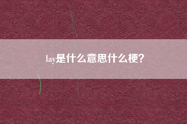 lay了是什么梗？