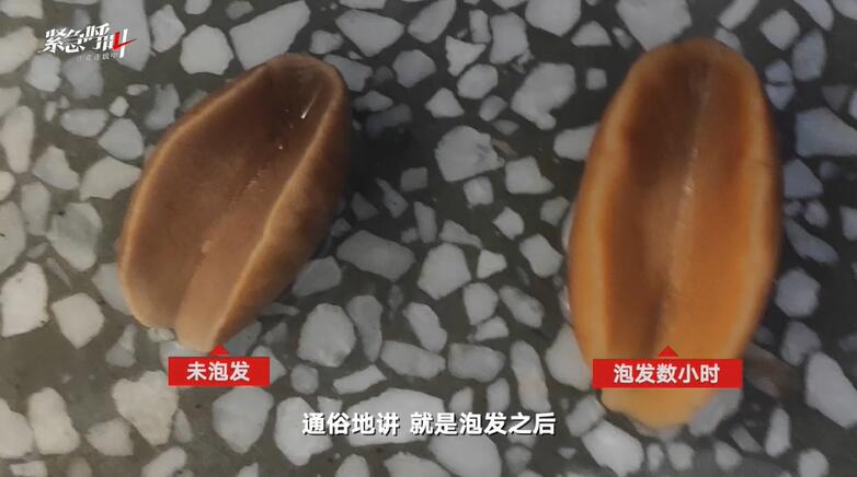 海鲜加工厂的狠活:硼砂泡出黄金鲍