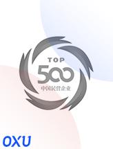 民营企业500强