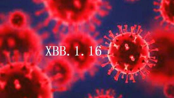 国家疾控局回应XBB.1.16流行情况