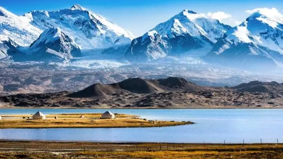 270名游客在新疆遭恶意“甩团”