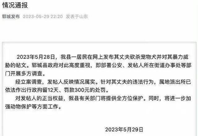 山东砍柯基男子被曝任职公益岗