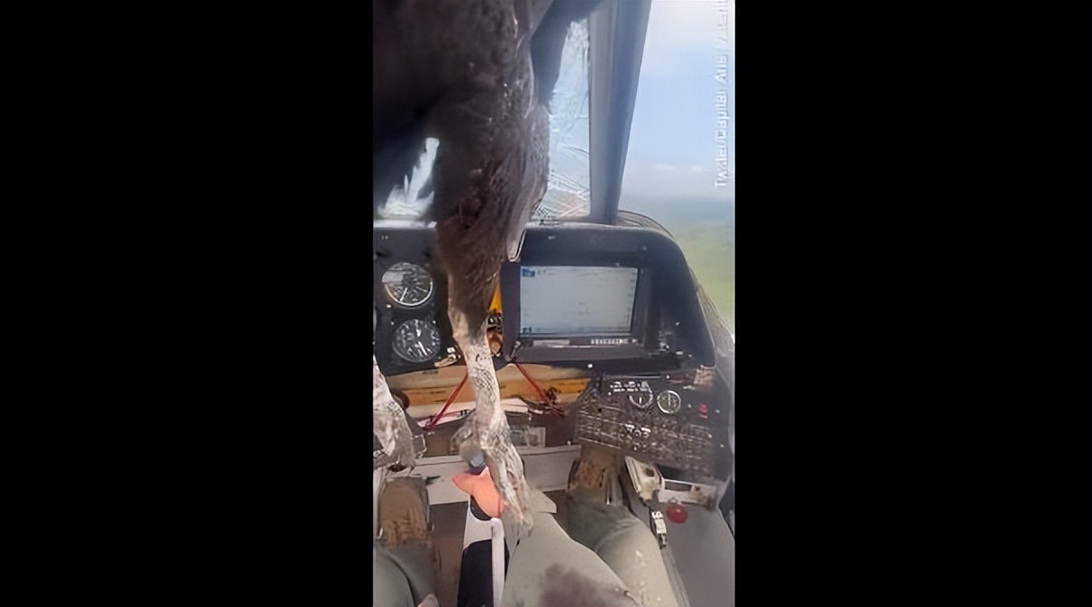 巨鸟撞穿飞机挡风玻璃 残骸嵌入机身