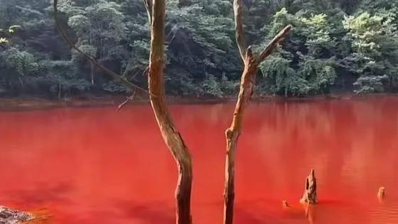 贵阳周边出现一血红色湖泊