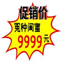 大促表情包促销价怨种闺蜜9999元