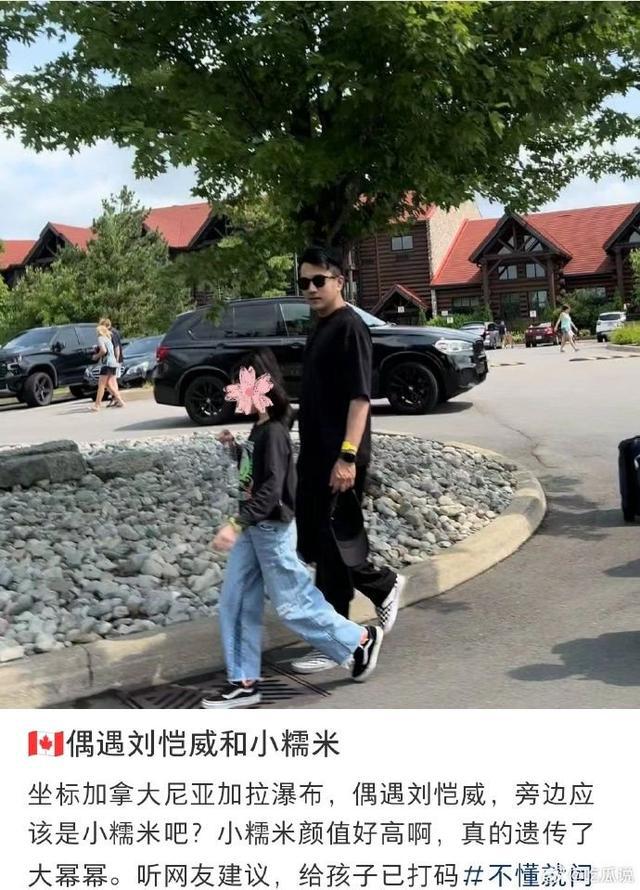网友加拿大偶遇刘恺威和小糯米