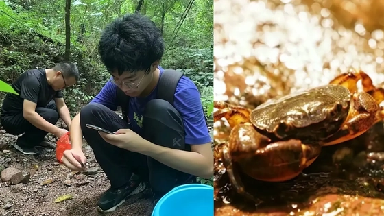 广西一17岁少年发现新物种