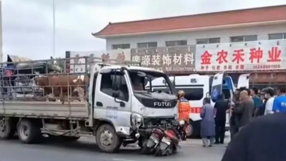 内蒙古通报货车冲进集市致3死3伤