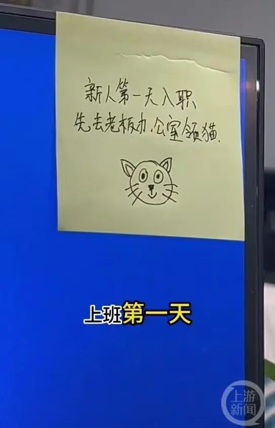 重庆一公司回应新员工可领猫