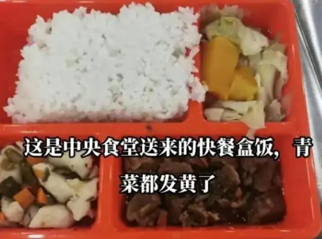 学校给孩子吃预制菜 上千名家长送餐