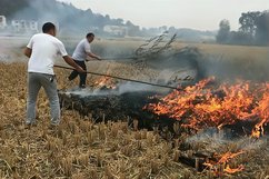 媒体:一刀切禁烧秸秆就是折腾农民