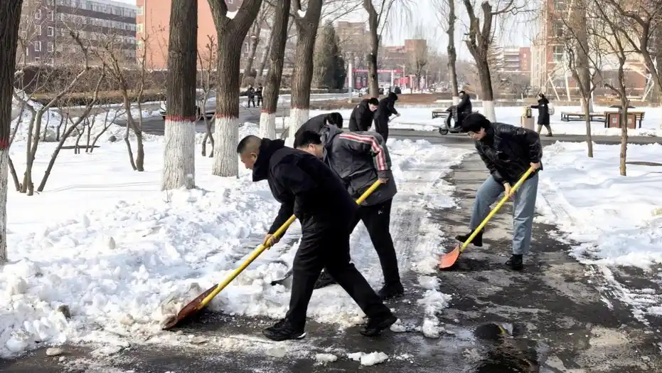 研究生不扫雪取消奖学金?学校回应