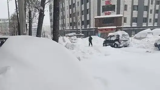 暴雪过后鹤岗车主挖宝寻车