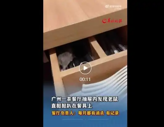 一茶餐厅被曝餐具抽屉中发现老鼠