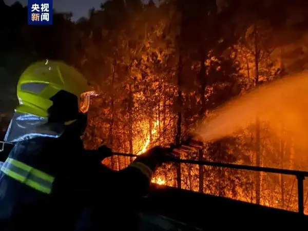 贵州一天通报6起山火原因