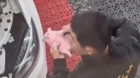 女子洗车竟被店员洗公仔擦鞋