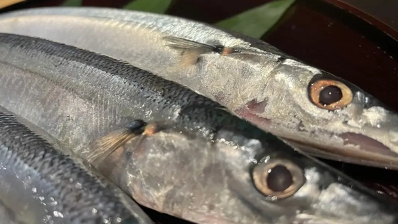 台湾查出日本鱼类致癌物超标40倍