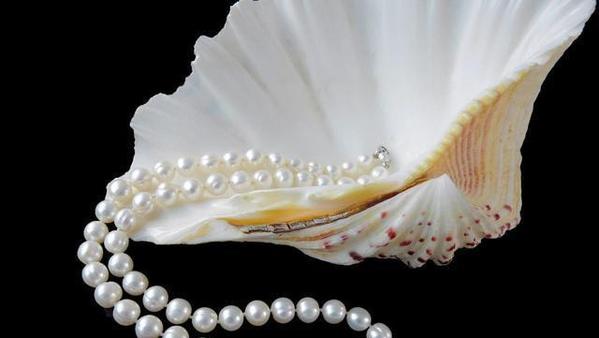 女子买珍珠是贝壳做的 商家回复亮了