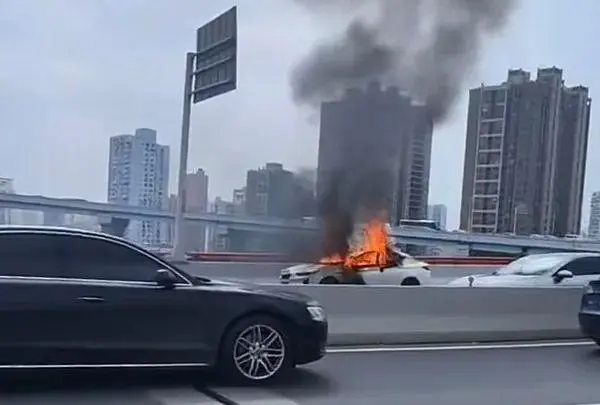 上海一新能源车起火烧成空壳
