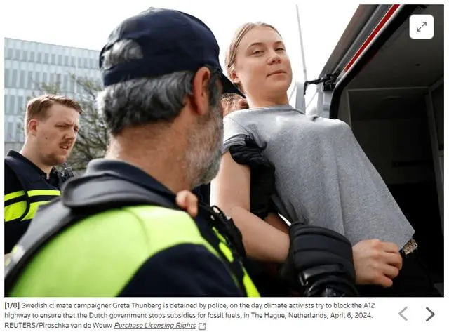 瑞典“环保少女”在荷兰2次被捕