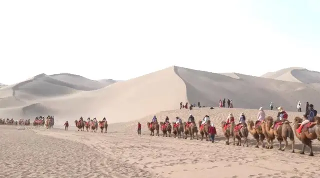 游客骑骆驼拍照被索要小费