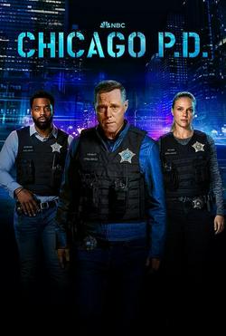 芝加哥警署第十一季电视剧海报-Netflix