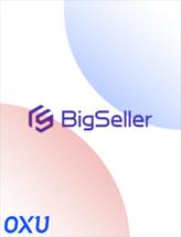 BigSeller