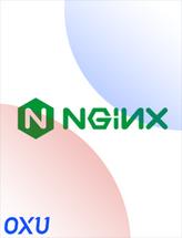 Nginx