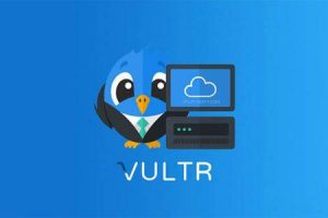 Vultr可以随意换系统么？