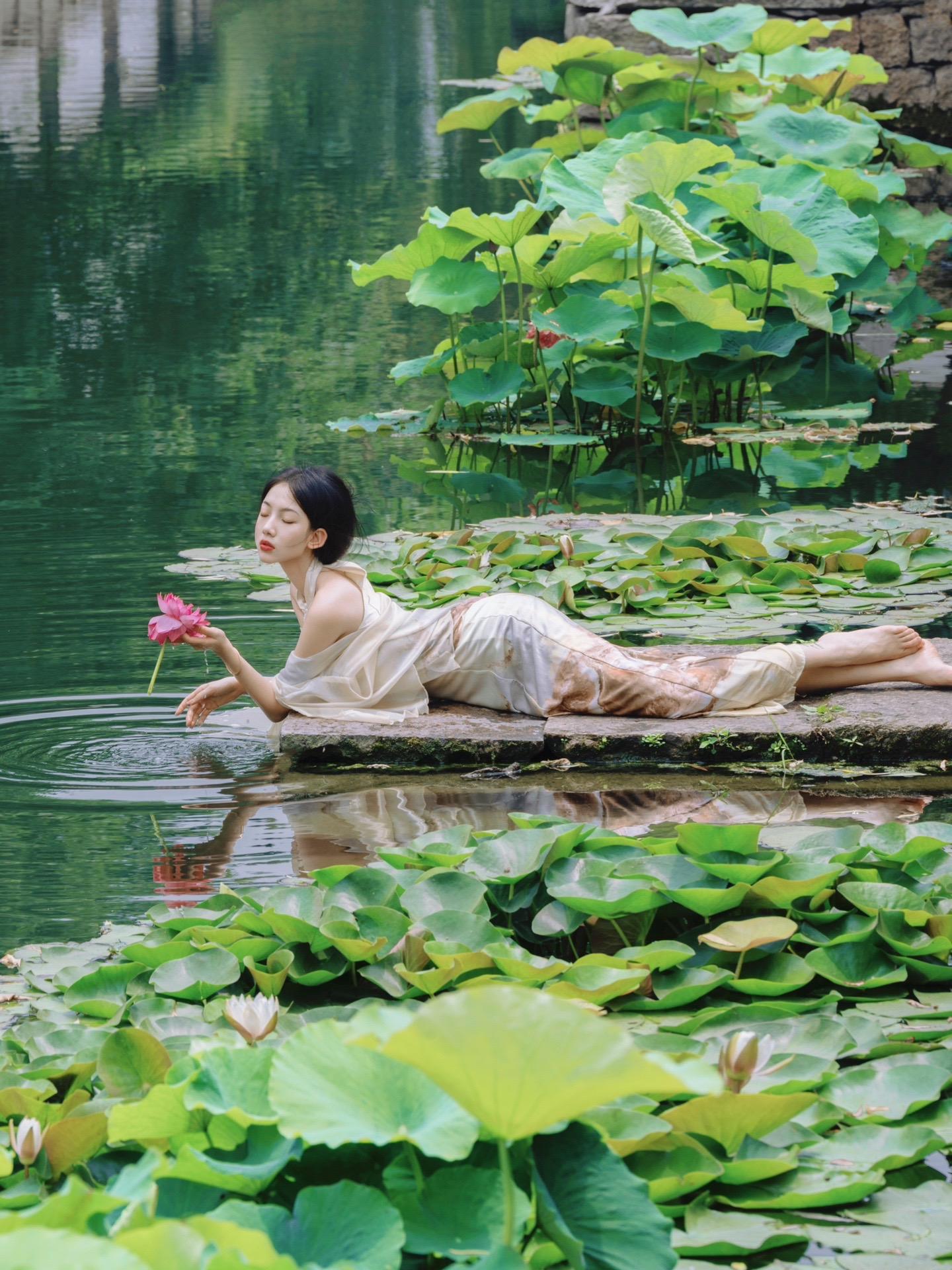 是小野喔：我与绍兴｜一水芙蕖碧。#夏日荷花 #点点水滴映荷莲