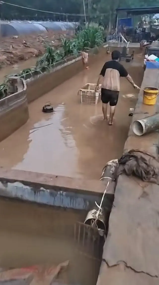 暴雨冲走养殖户百万元中华鲟鱼