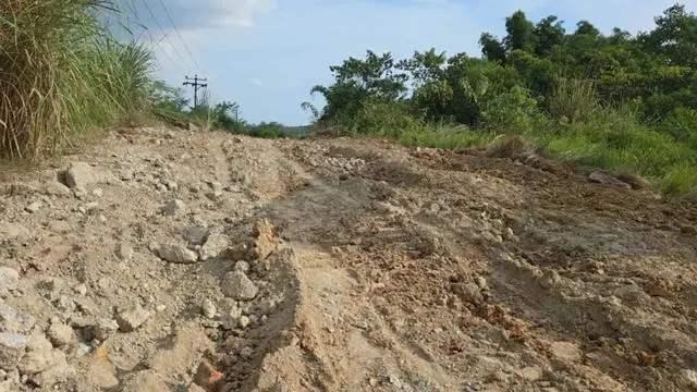 男子偷走村里的水泥公路