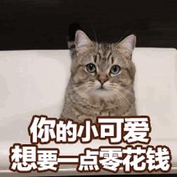 想要一点零花钱 猫咪 眼神 可爱 SOOGIF