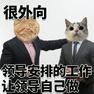 很外向领导安排的工作让领导自己做很外向猫猫表情包