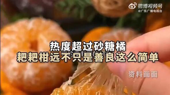 “最善良”水果耙耙柑热度超砂糖橘