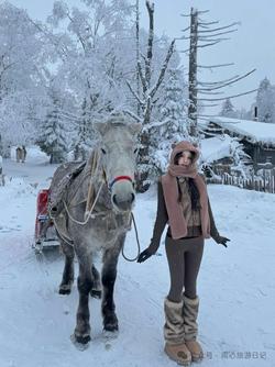 南心旅游日记一定要穿防滑的雪地靴！我看到有人穿运动鞋，上山基本是爬着去的