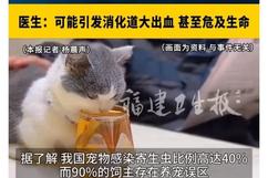 男子和猫共用水杯感染吸血虫