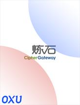 炼石网络
