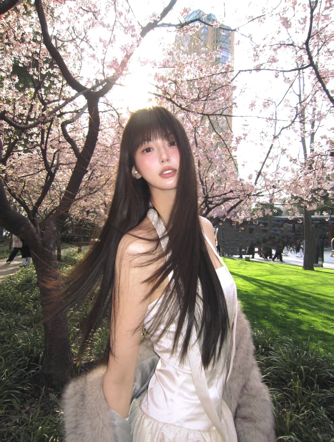 Sakura-想过一万次春天. #樱花 #春天 - 小红书